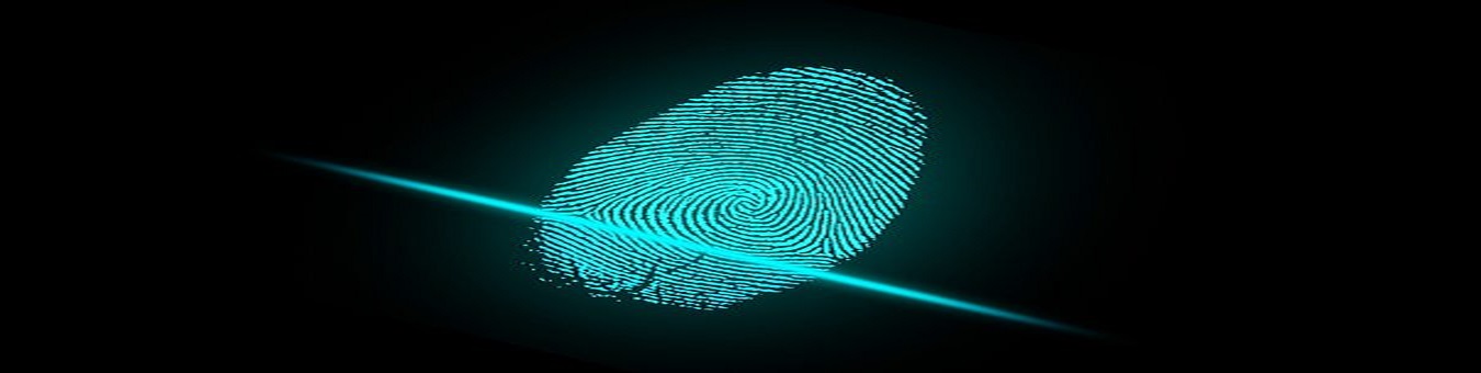 LiveScan_Graphic E LiveScan_Graphic E
